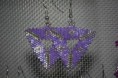 /album/my-projects/img-9016-jpg/