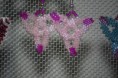 /album/my-projects/img-9024-jpg/